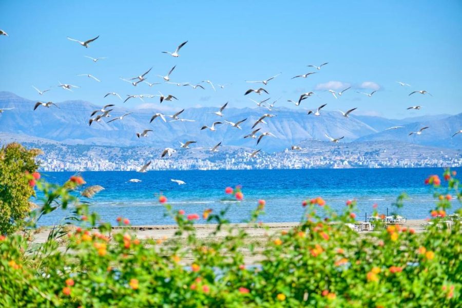kalamaki beach2 corfu corfutraveller